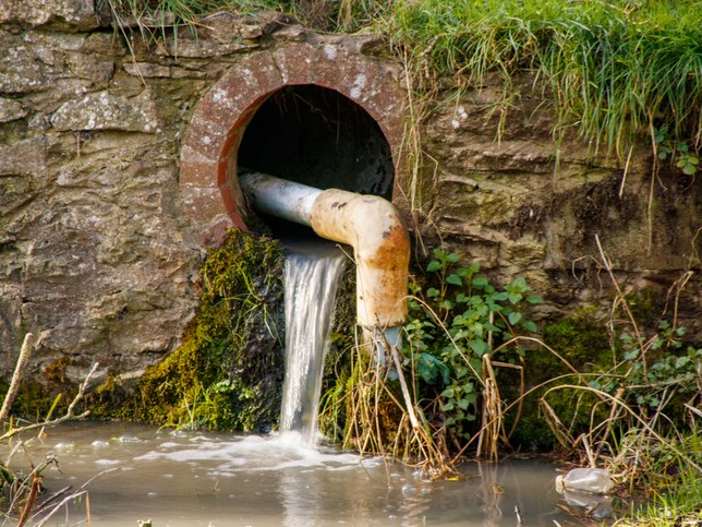 Britain's waterways are highly polluted 