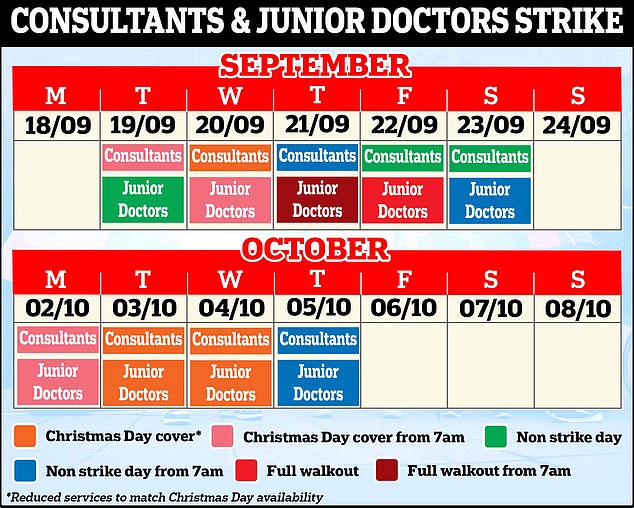 Consultants in England have taken to the picket lines on four separate days so far this summer, while junior doctors have staged 19 days of strike action this year. Both will return to the picket lines together on October, 2, 3 and 4. Radiographers are also set to join medics by walking out for 24 hours from 8am on October 3. The strike days also coincide with Rishi Sunak's first Tory party conference as leader and prime minister