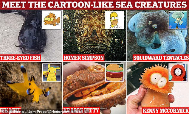 South Park and The Simpsons are among countless nostalgic cartoons that many have grown up watching. But it seems these may go beyond our screens, with an array of deep-sea creatures bearing an uncanny resemblance to their characters