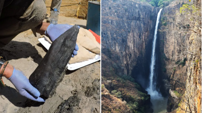 A wooden structure above a waterfall has changed our thinking of the Stone Age