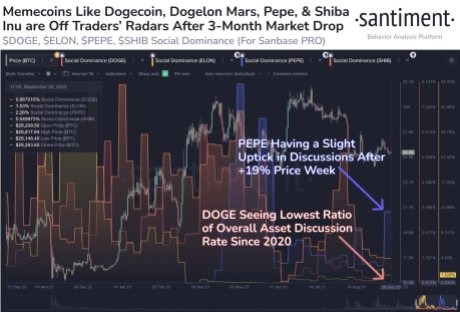 PEPE price recovery