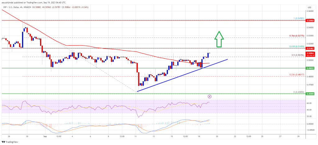 XRP Price Prediction 