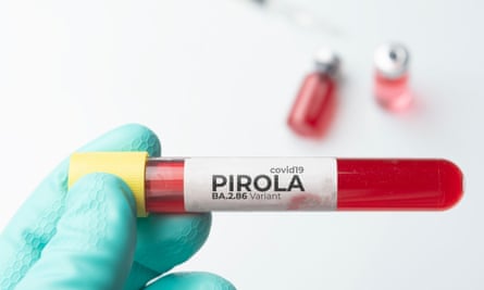 A test tube sample of the new Pirola Covid variant.