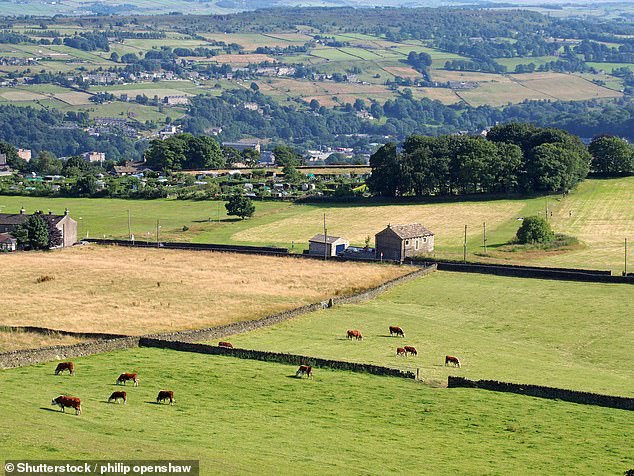 Trouble in paradise: The beautiful Calder Valley was hit by severe flooding in 2019