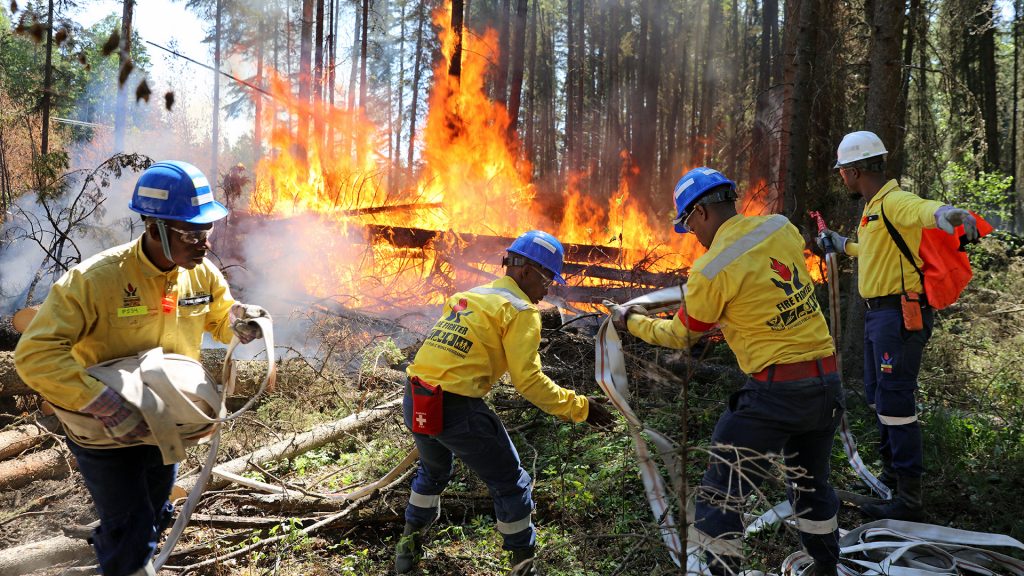 Four firefighters battle wildfire