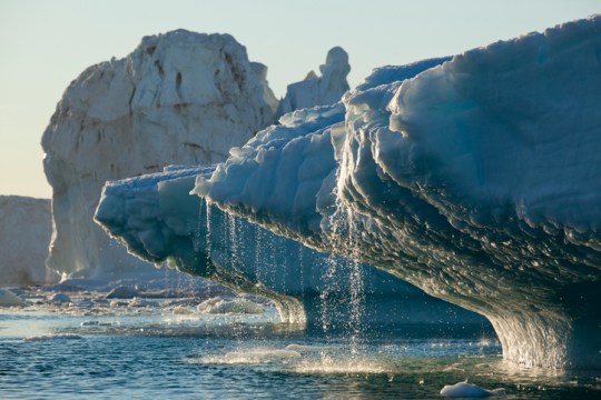 Melting sea ice