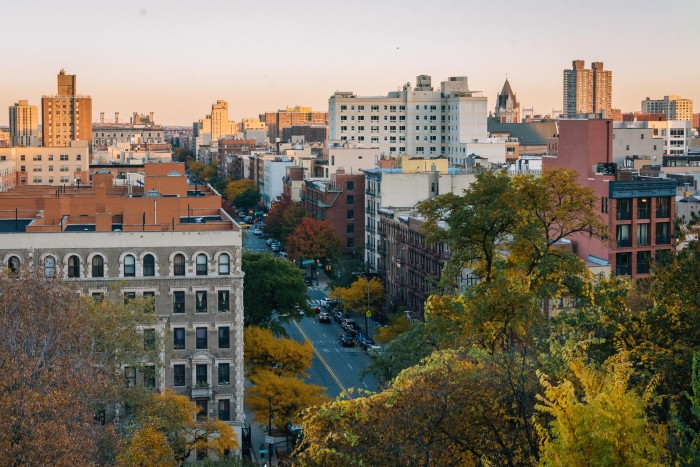 autumnal trees and tall buildings