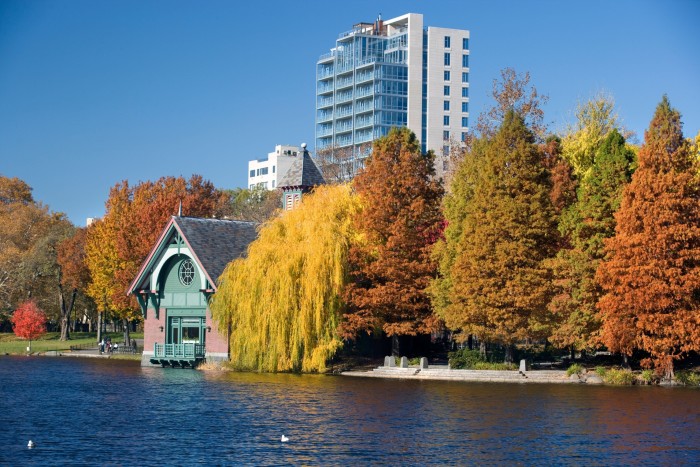 brightly coloured trees by the edge of a lake