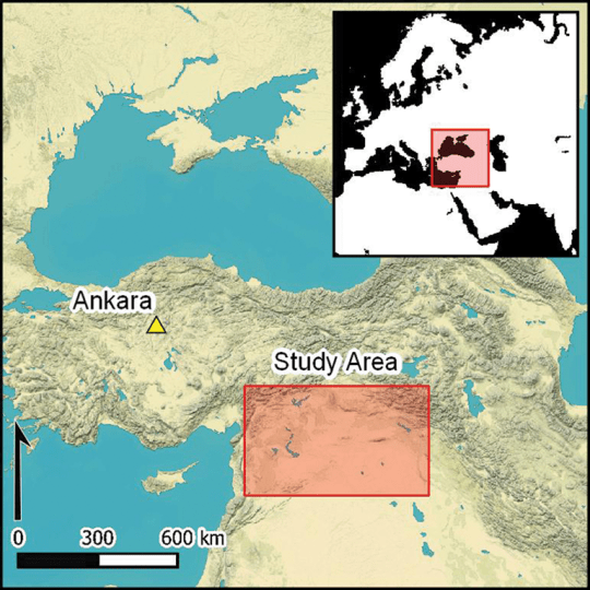 Images from the CIA's Corona surveys