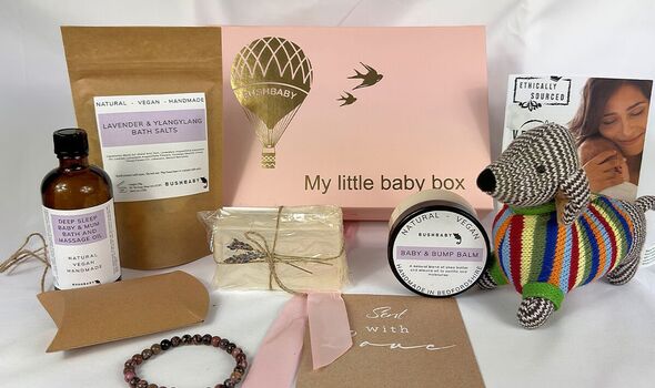 BUSHBABY hamper for a newborn