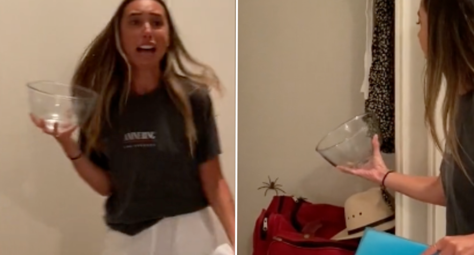 Left: Screenshot of young woman holding a glass bowl with a look of fear on her face. Right: Woman approaching spider with bowl