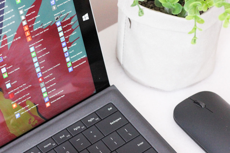 Computer and a mouse sitting next to a verdent fern on a table.