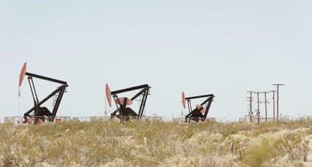 Three large pumps seen in scrubby terrain