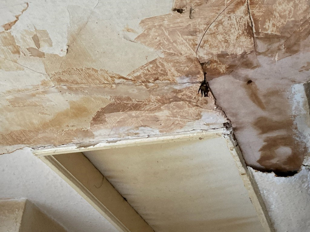 Residents have spotted mould in their homes