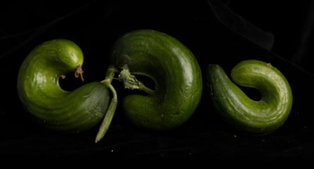 Lebanese baby cucumbers