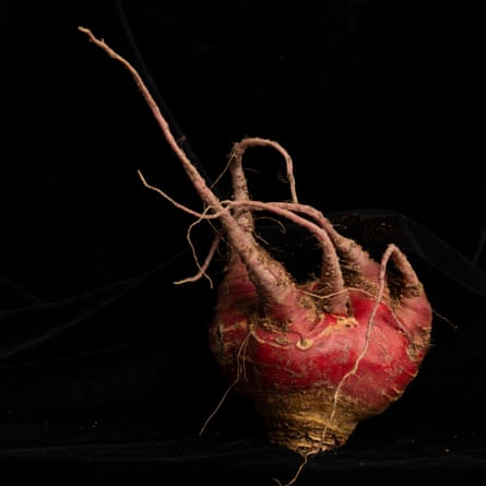 A weird looking beetroot