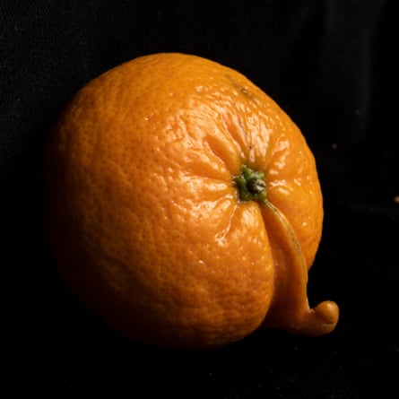 An unusual mandarin