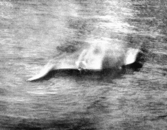 Hugh Gray's Nessie picture 