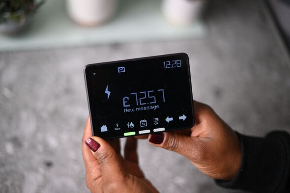 Person holding a smart meter