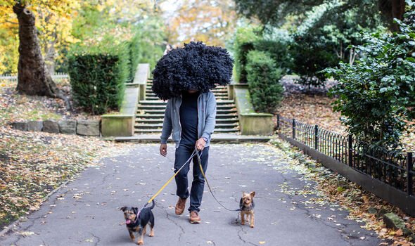 Sharkey walking his dogs in a park