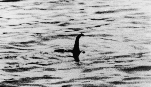 The Loch Ness monster