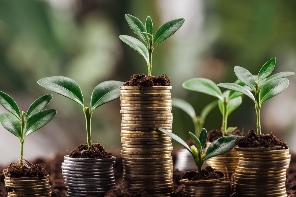 Green Finance Gains Momentum: Sustainable Investing Trends in 2023