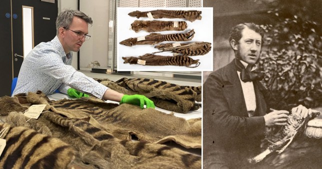 A Victorian collector traded human Aboriginal remains