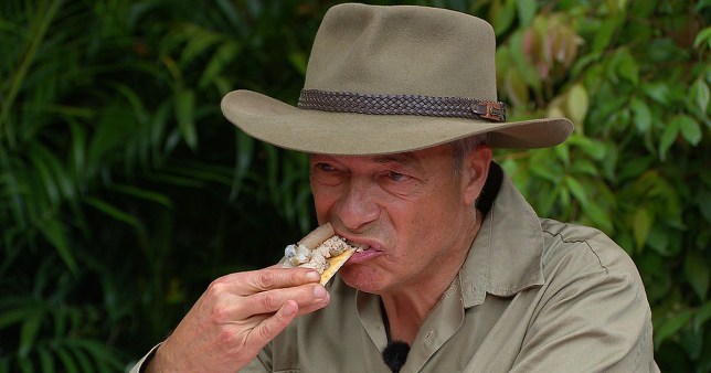 The I'm A Celeb diet leaves a lot to be desired