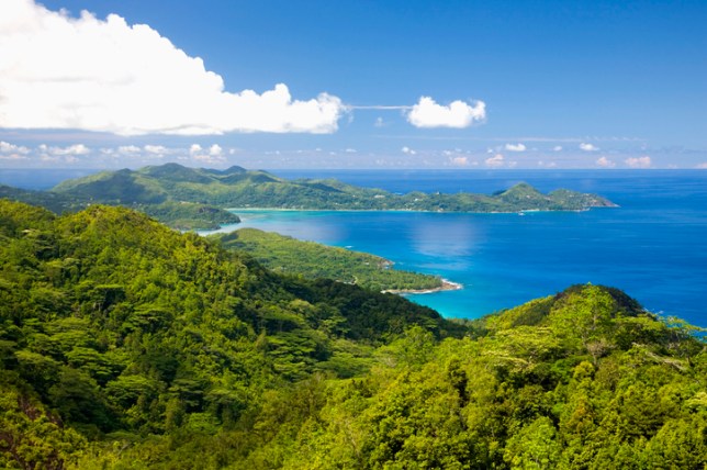 The Seychelles was once a popular spot with blue whales