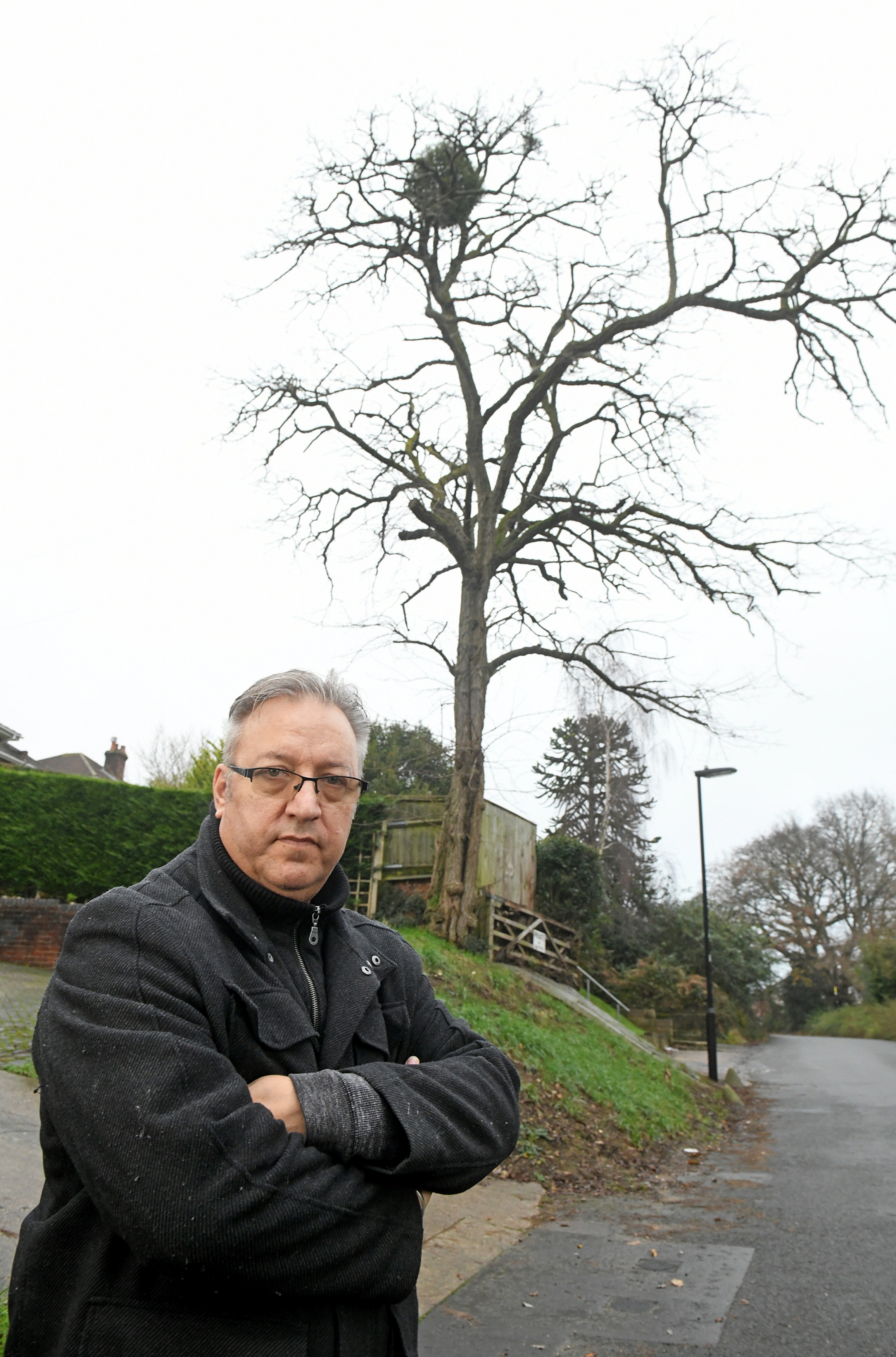 A caller into the Council tipped off tree officers about Petrowsky's plan to fell the tree