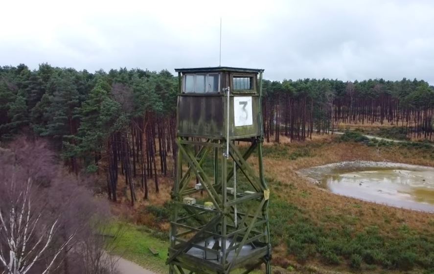 An obsersation tower rises above the trees