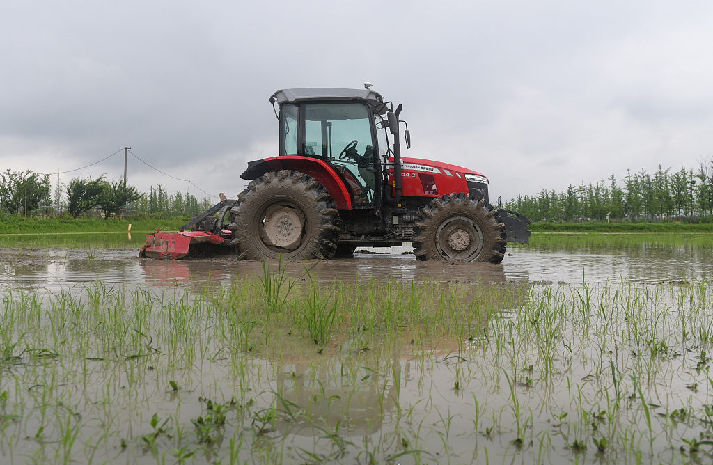 A unmanned equipment works in a farmland the city of Jinhua in east China's Zhejiang Province, June 8, 2023. /CFP