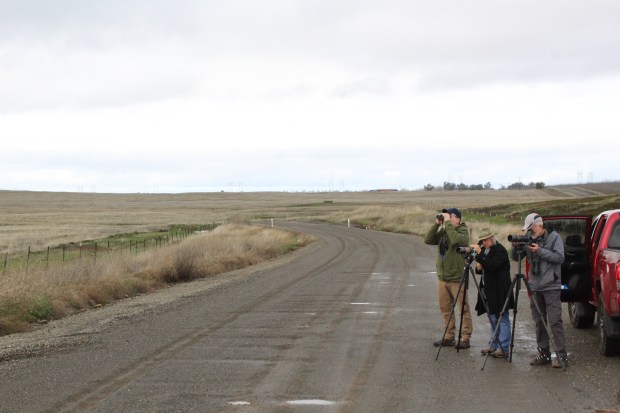 Birder Ken Sobon, left, uses a pair of binoculars while Mary Muchowski, center, and Jim Thomas use spotting scopes as they look north from Nelson Avenue near Oroville, California, Saturday, Dec. 30, 2023. The three were participating in the annual Oroville Christmas Bird Count. (Ed Booth/Enterprise-Record)