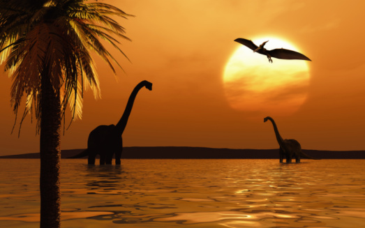 Silhouette of dinosaurs