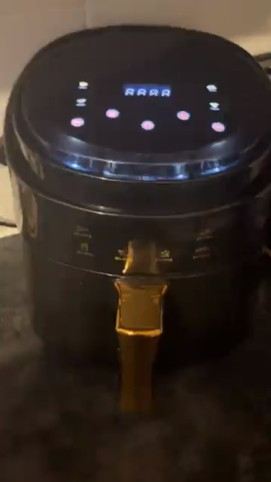 The £10 air fryer was bought on TikTok shop for just £10 and cooked perfect roasties