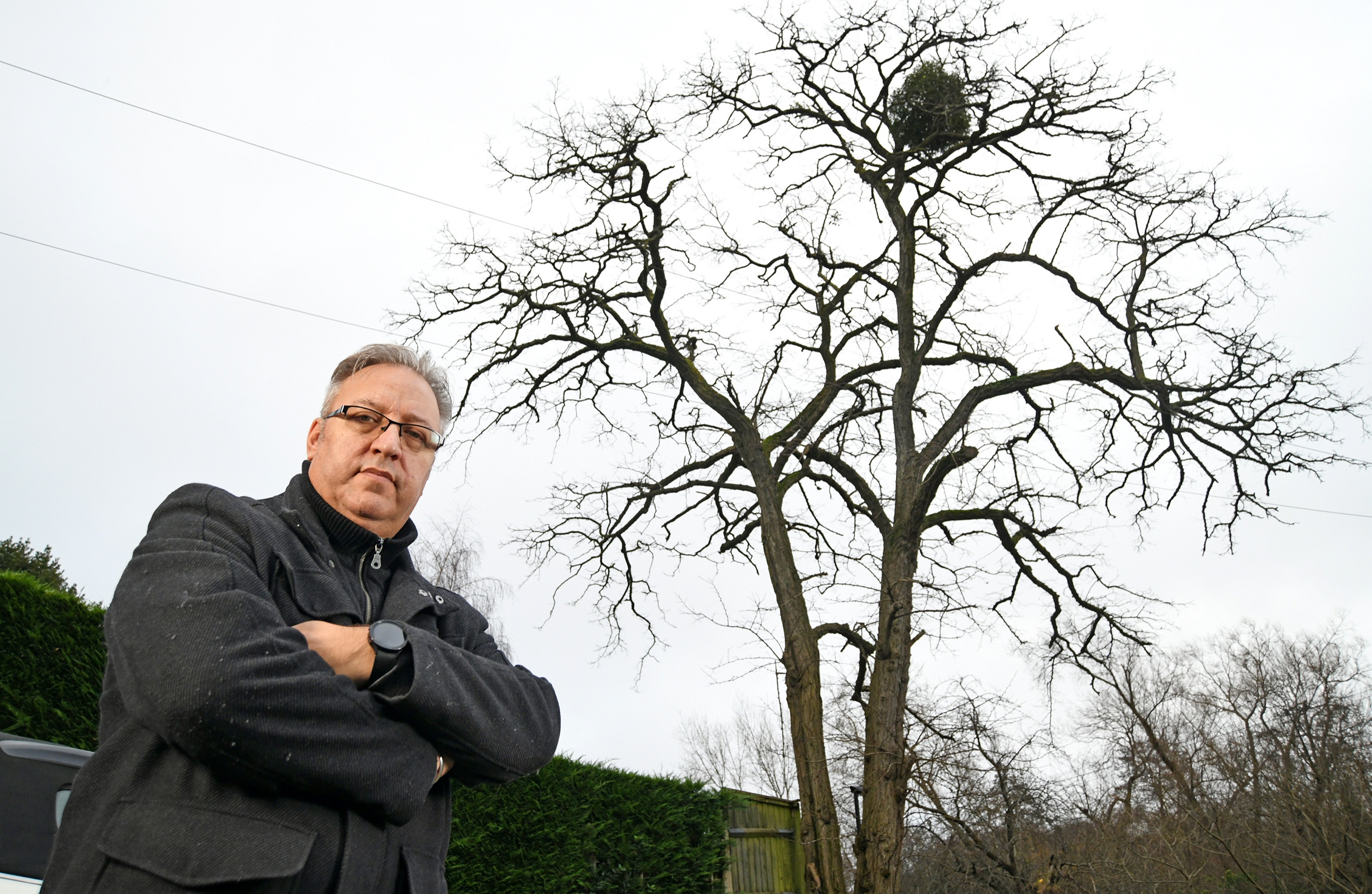 Stephen Petrowsky says the tree is dangerous