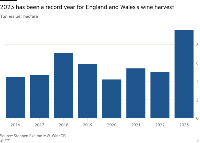 Column chart of Tonnes per hectare showing 2023 has been a record year for England and Wales’s wine harvest