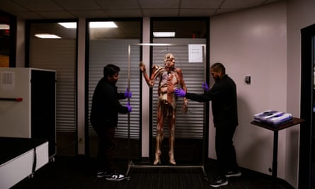 In a mostly dark conference-type room with overhead, florescent lighting, two young men hold either side of a metal frame that holds a synthetic body that shows muscle and tissue.