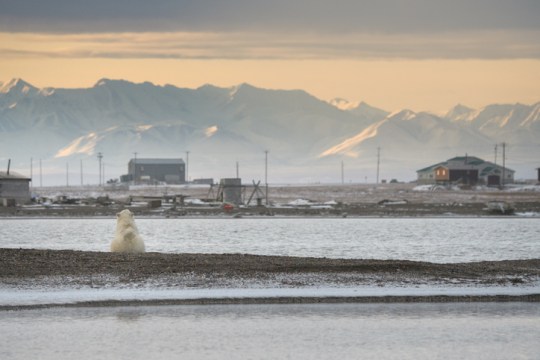 Kaktovik village in Alaska's North Slope region