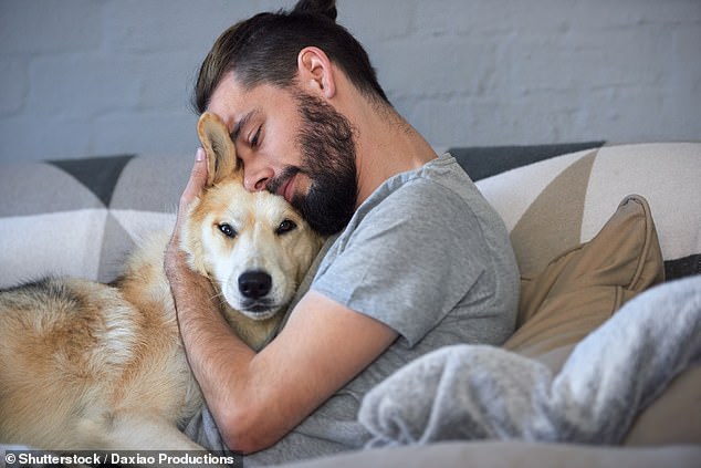 'A robot may have an effect similar to that of animal therapy' say the researchers in the journal iScience (stock photo)