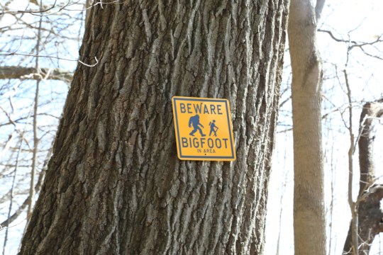 Bigfoot sign