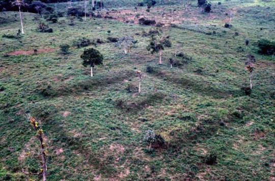 Jan 12: Huge Amazon city discovered Two thousand years of garden urbanism in the Upper Amazon St?phen Rostain et al. ,Two thousand years of garden urbanism in the Upper Amazon.Science383,183-189(2024).DOI:10.1126/science.adi6317 Credit St?phen Rostain