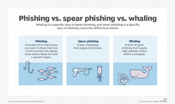 Graphic explaining phishing vs. spear phishing vs. whaling.