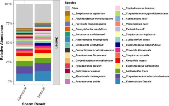 All the different types of microbe found in semen