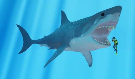 Megalodon Shark