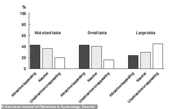 Researchers found that men most often found small labias attractive, while larger labia lips were seen as unattractive