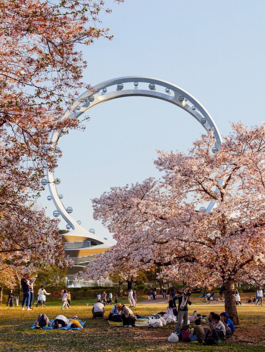 Artist's impression of the Ferris wheel