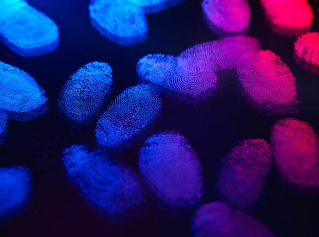 Fingerprints in a blue and red light.