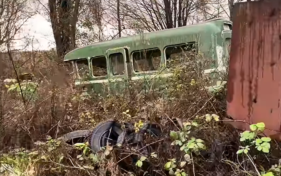 A classic bus was spotted in an overgrown part of the yard