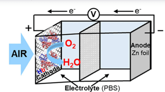 How blood battery works